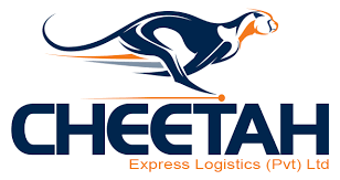 totalexclusive_company_profile-37